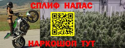 Альфа ПВП Брянск