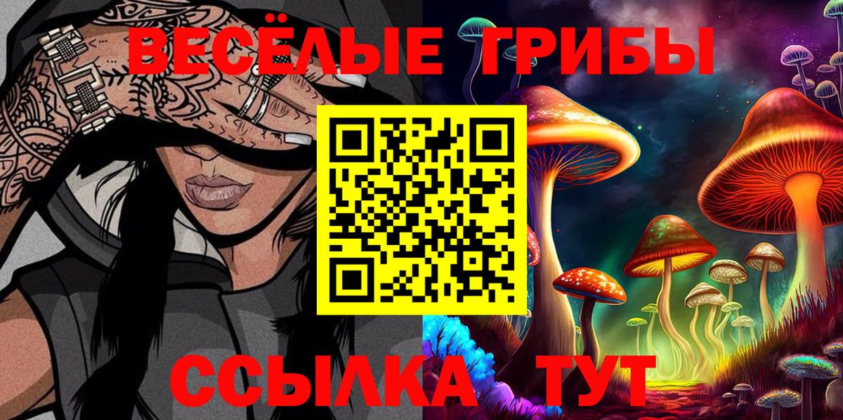 Псилоцибиновые грибы GOLDEN TEACHER Сыктывкар