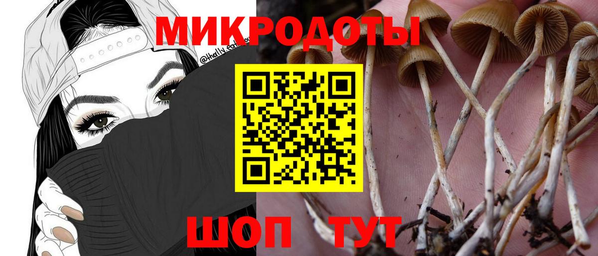 Сыктывкар  как найти наркотики  Вход с VPN  Галлюциногенные грибы мухоморы 